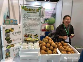 第十六届江苏名特优农产品 上海 交易会在上海国际农展中心开幕